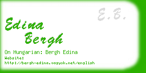 edina bergh business card